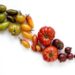 Fruit et légumes d'été à marier à 'huilde d'olive extra vierge Parcelle 26