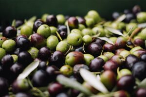 Chemlali olive